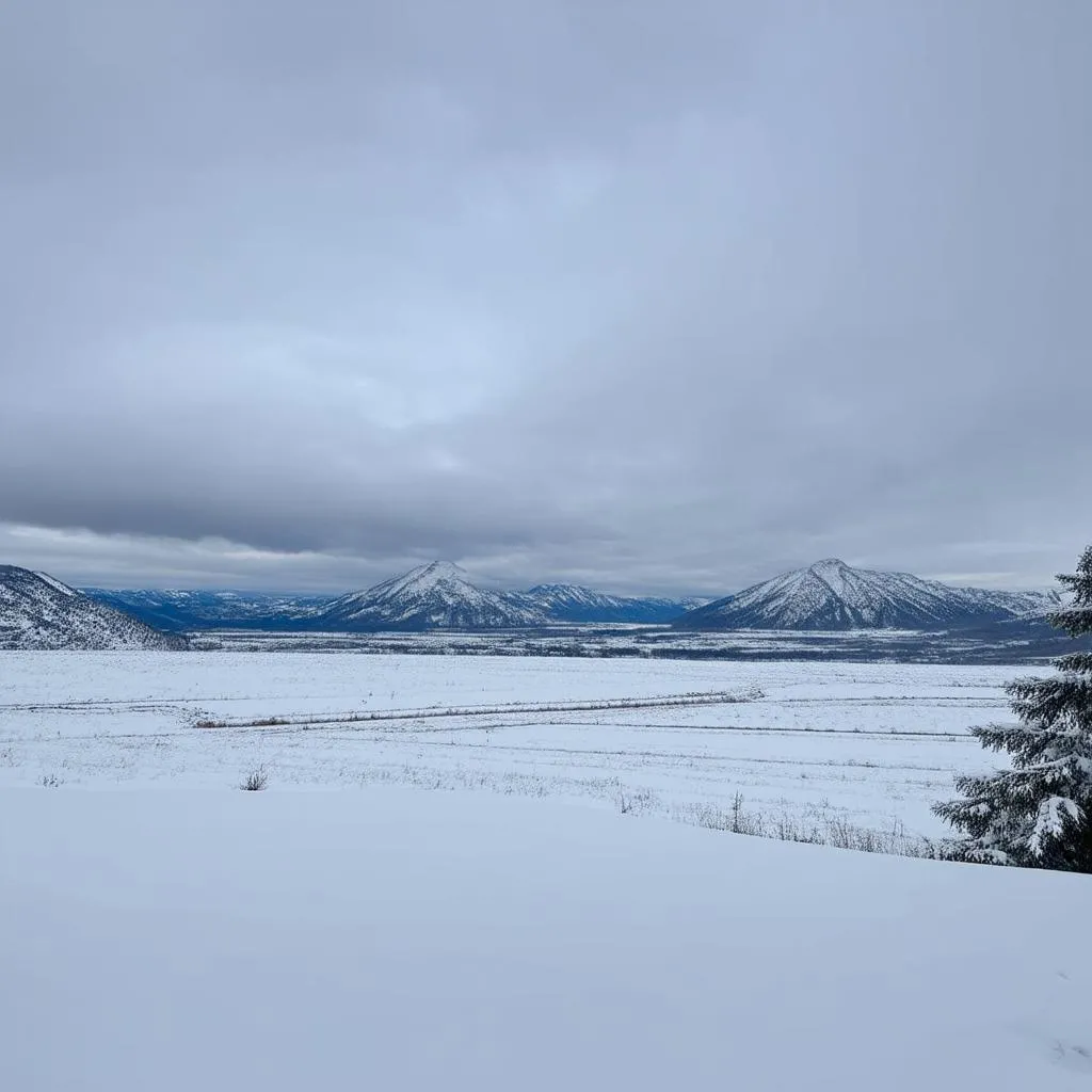 Consecrated Snowfield Elden Ring