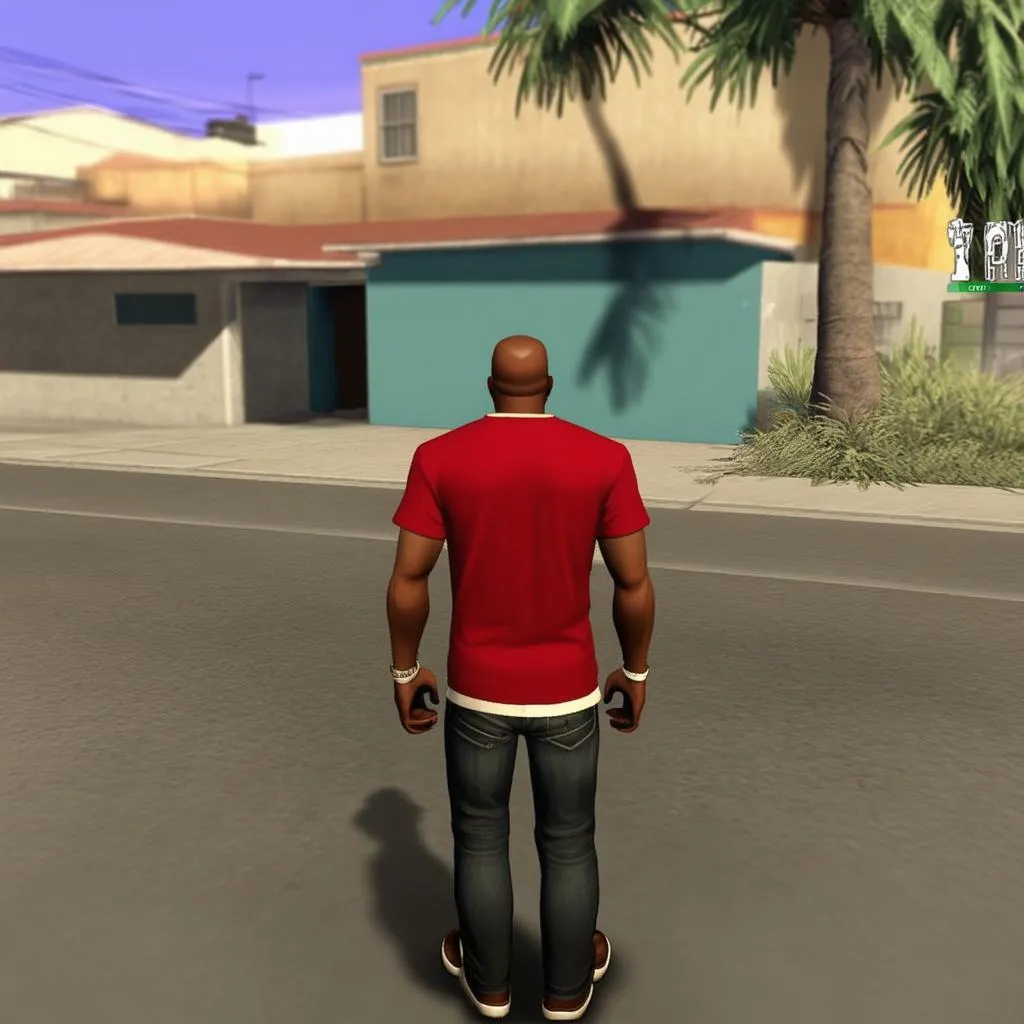 GTA San Andreas gameplay