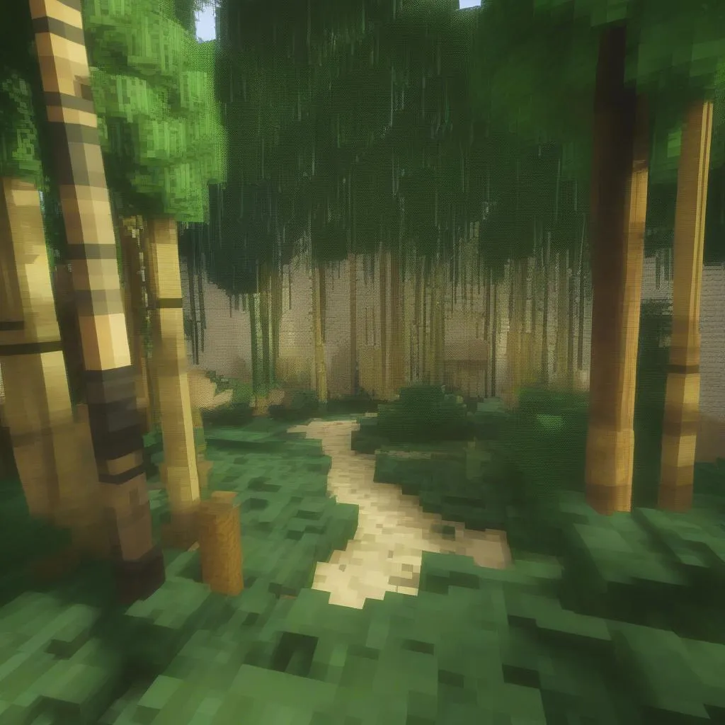 bamboo-grove