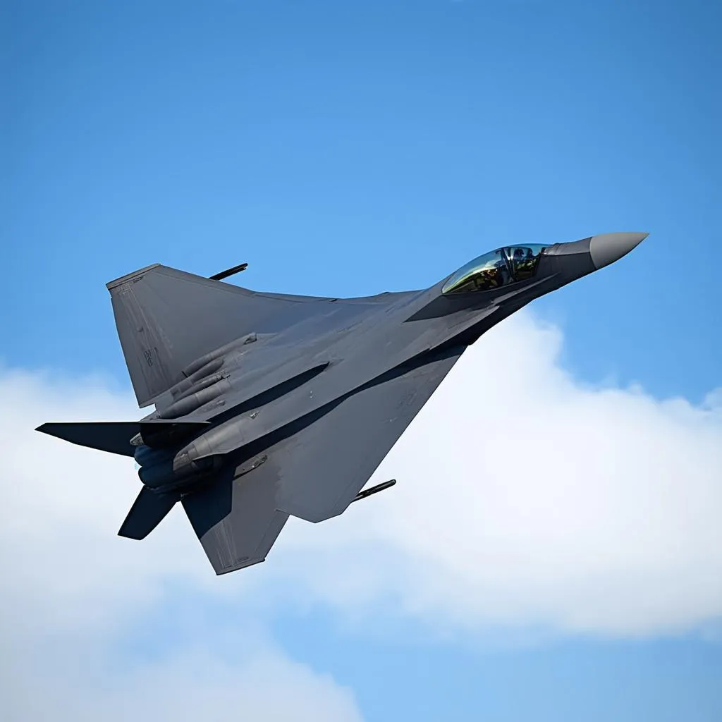 Chiến đấu cơ F-22 Raptor